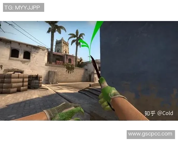 CSGO战术分析：深入解析WE战队的防守反击策略与执行细节