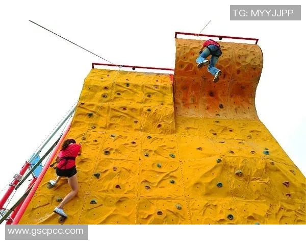 武汉攀岩队的防反策略分析与战术得失探讨