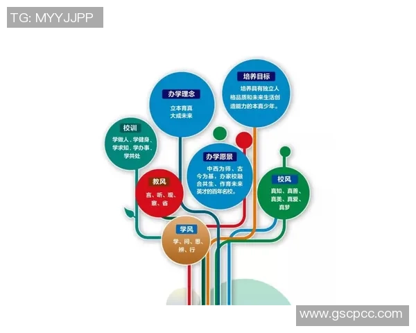 武汉滑板队的整体压制革新探索与实践之路分析