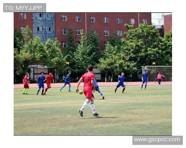 武汉排球队边路渗透战术解析与深度剖析